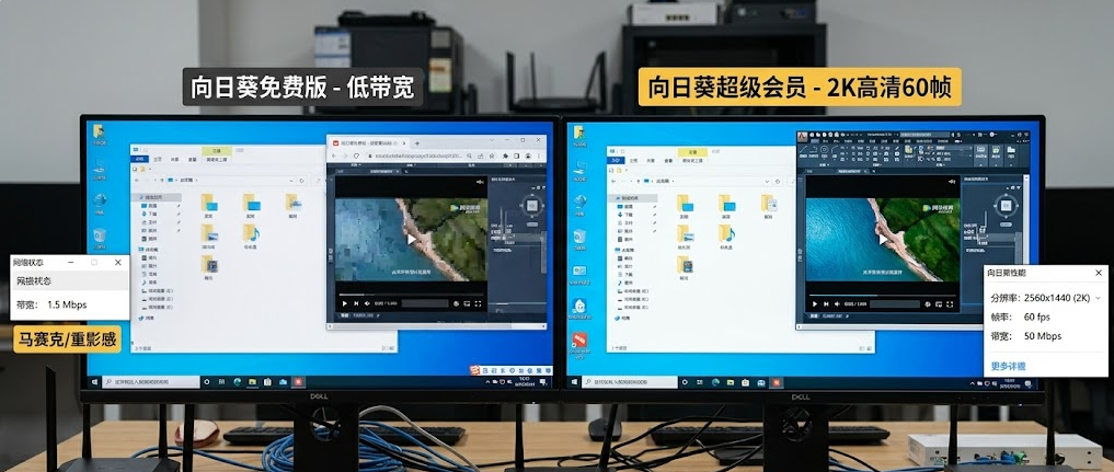 向日葵值得付费吗